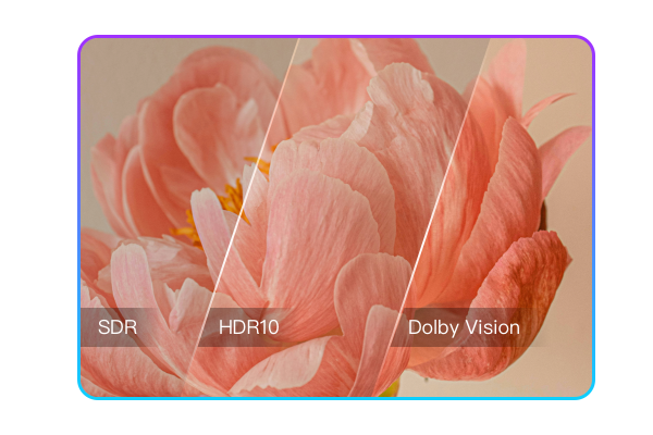 convert SDR to HDR/Dolby Vision 