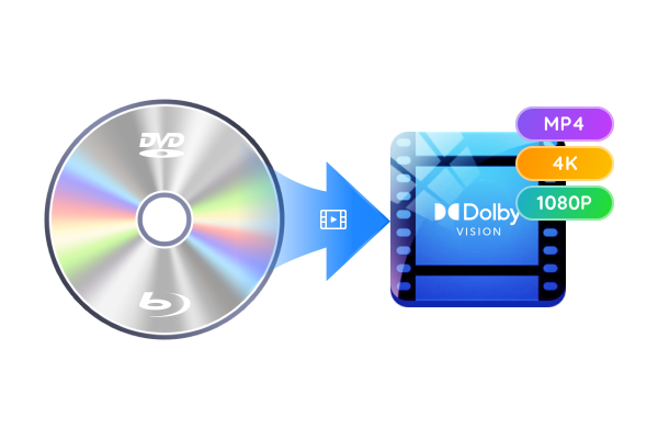 Prise en charge Dolby Vision HDR