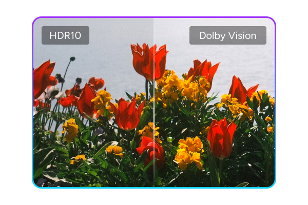HDR10 auf Dolby Vision upgraden