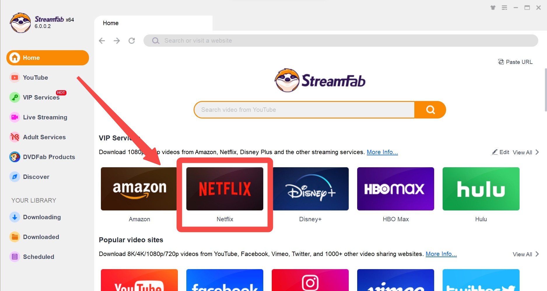 StreamFab Netflix Downloader step.