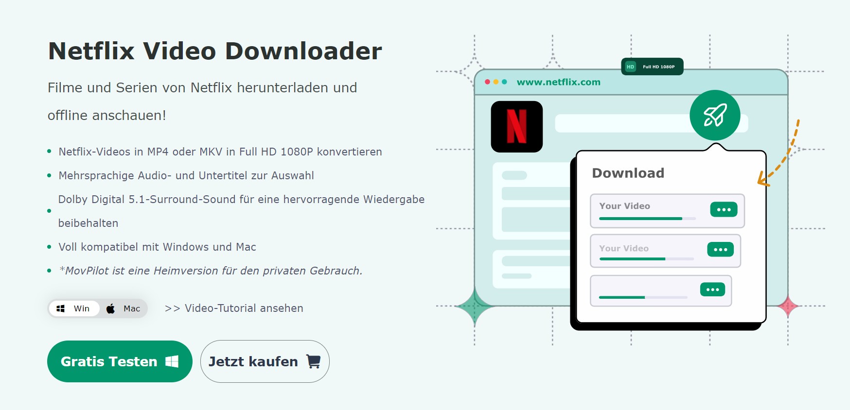 Was ist Movpilot Netflix Video Downloader？