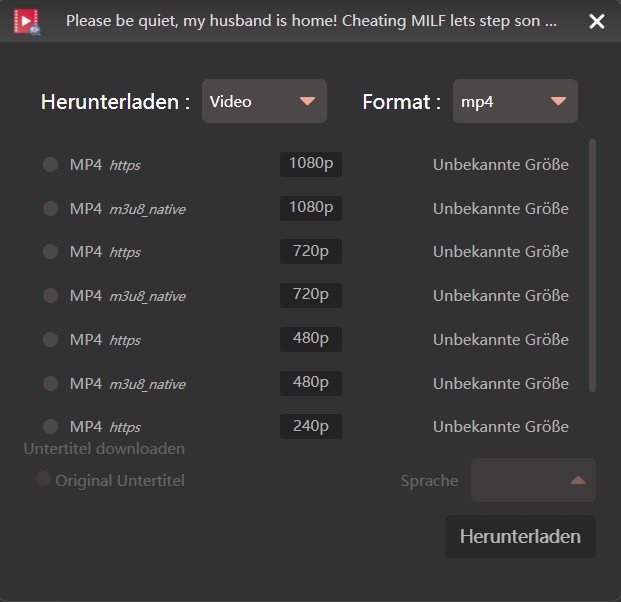 Wie kann man Pornhub Videos in MP4 downloaden?