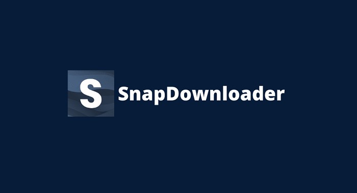 TikTok to MP4:  SnapDownloader