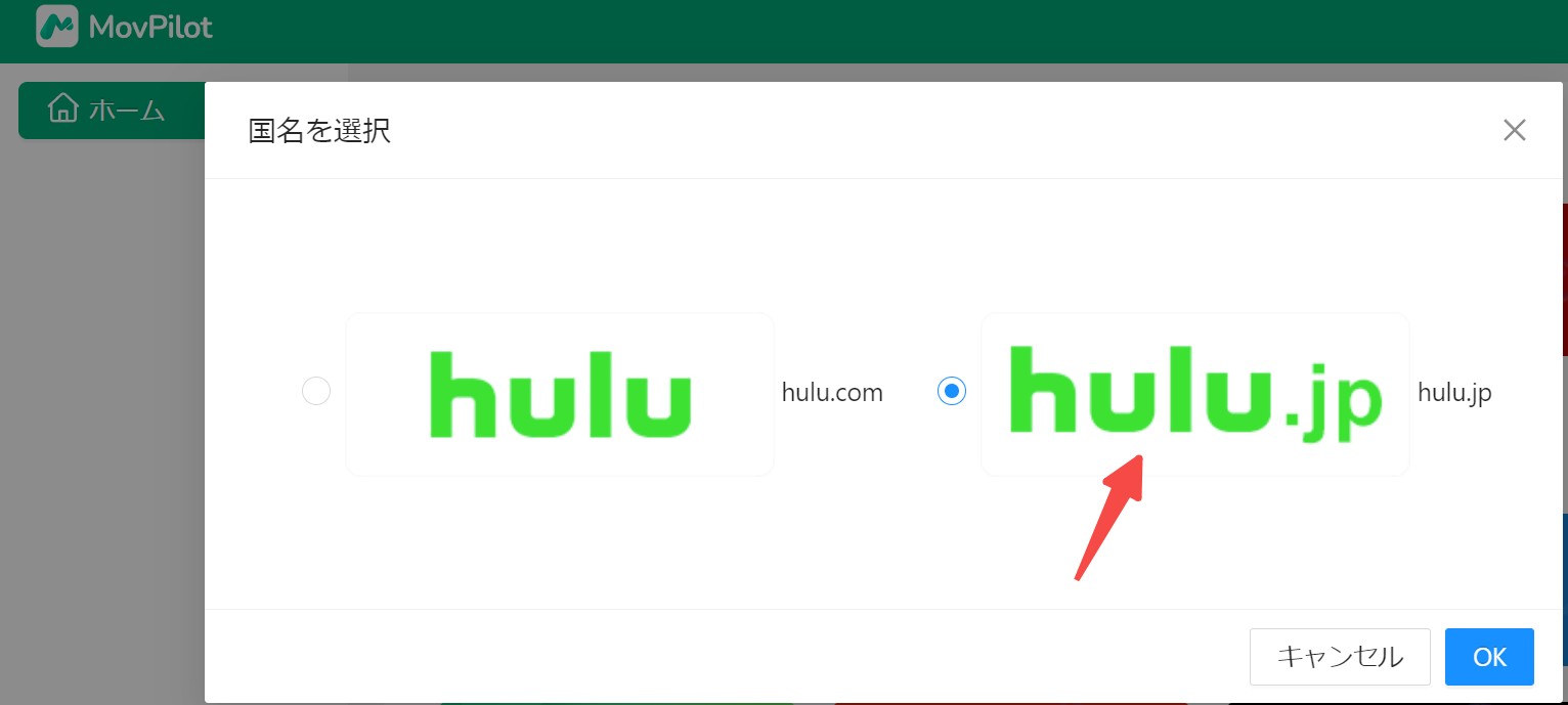 Hulu　保存