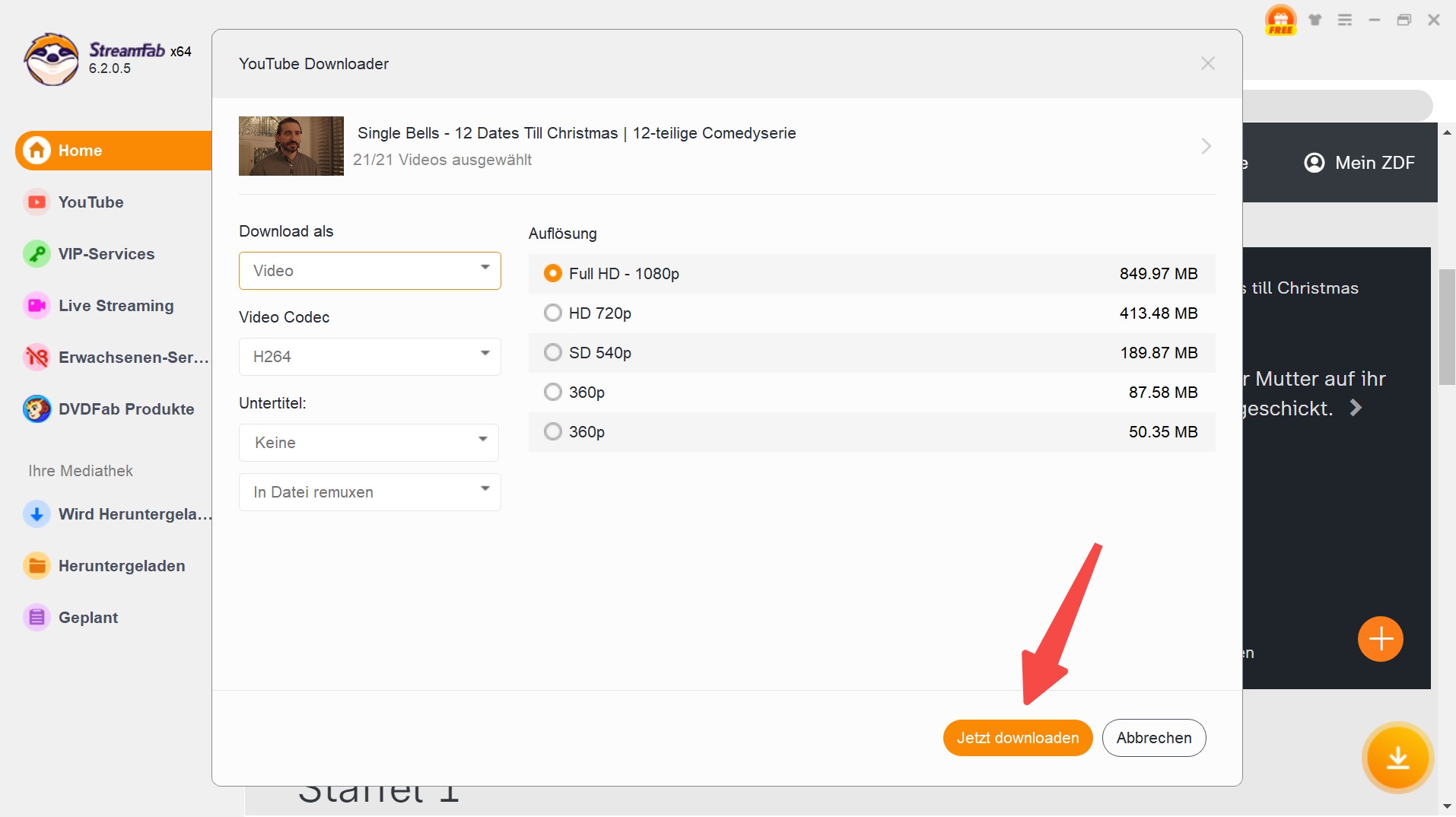 Download-Schritte mit StreamFab Video Downloader