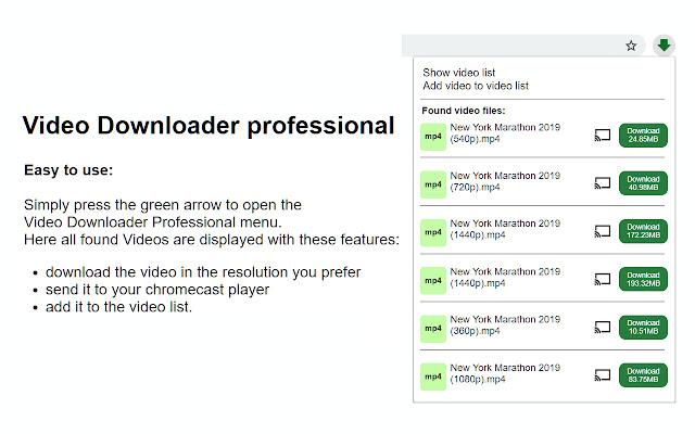 :5. Video Downloader Professional