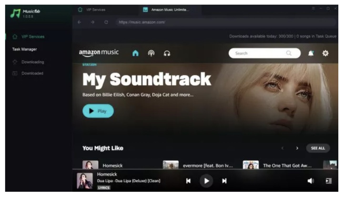 Log in with your active credentials to your Amazon Music 