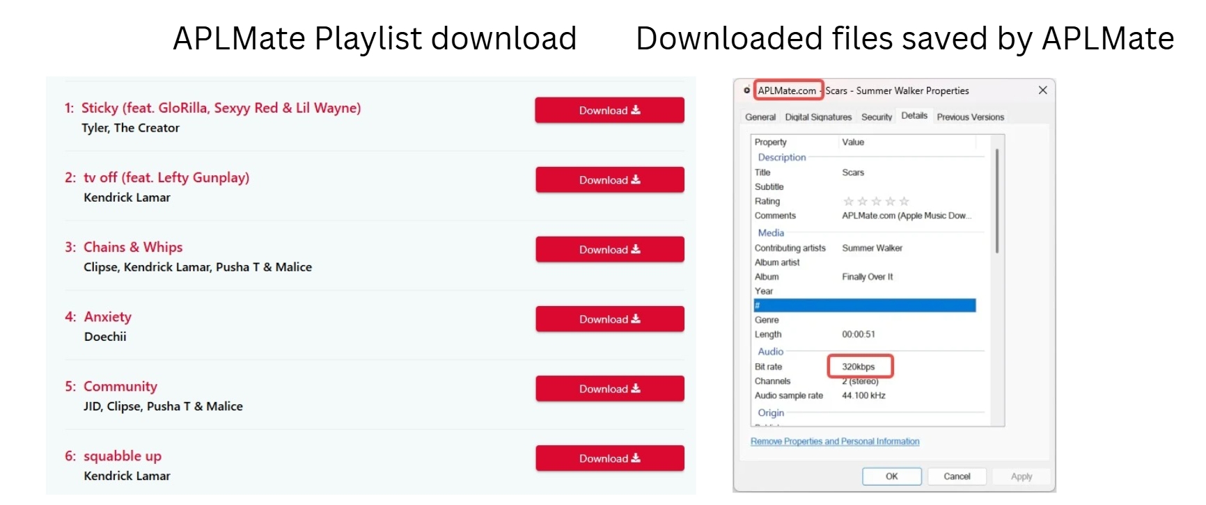 aplmate-downloaded-mp3-files