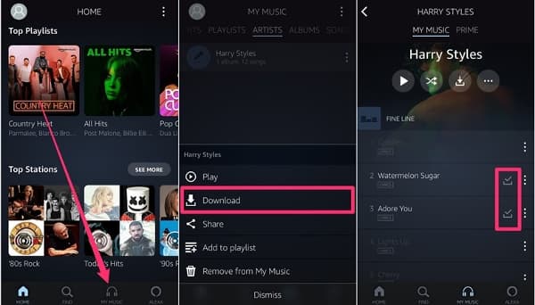 clicking the “Download”