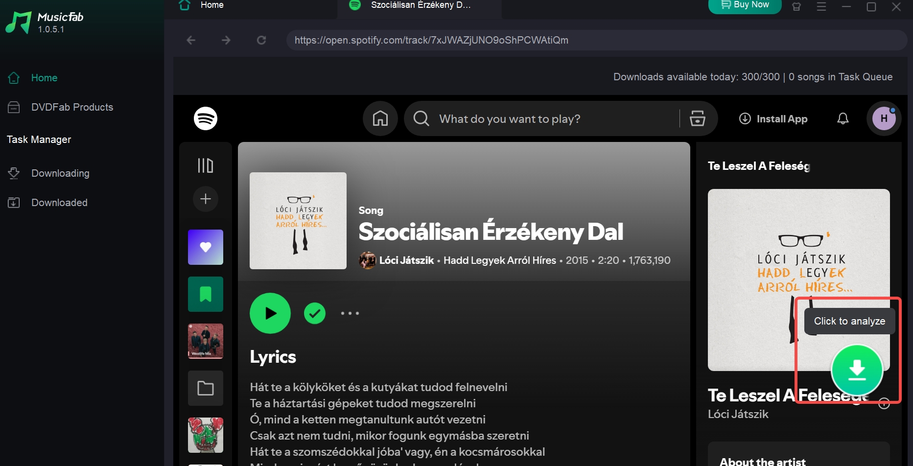 musicfab spotify analyze