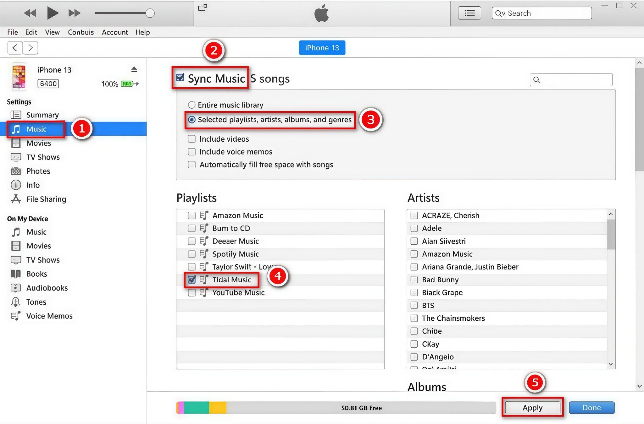 Transfer Tidal Downloads