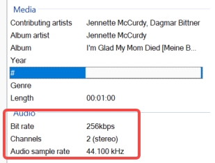 tunepat-downloaded-songs-media-info