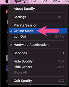 Click on the Spotify tab