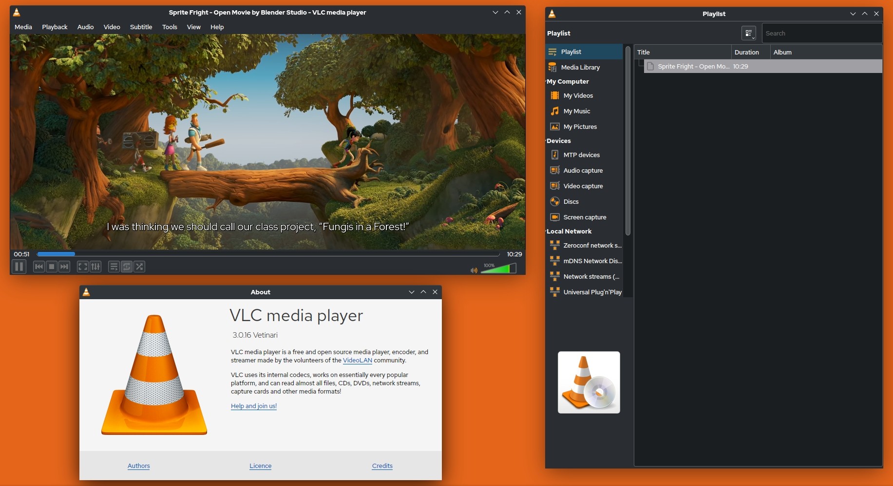 VLC: free FLV player software