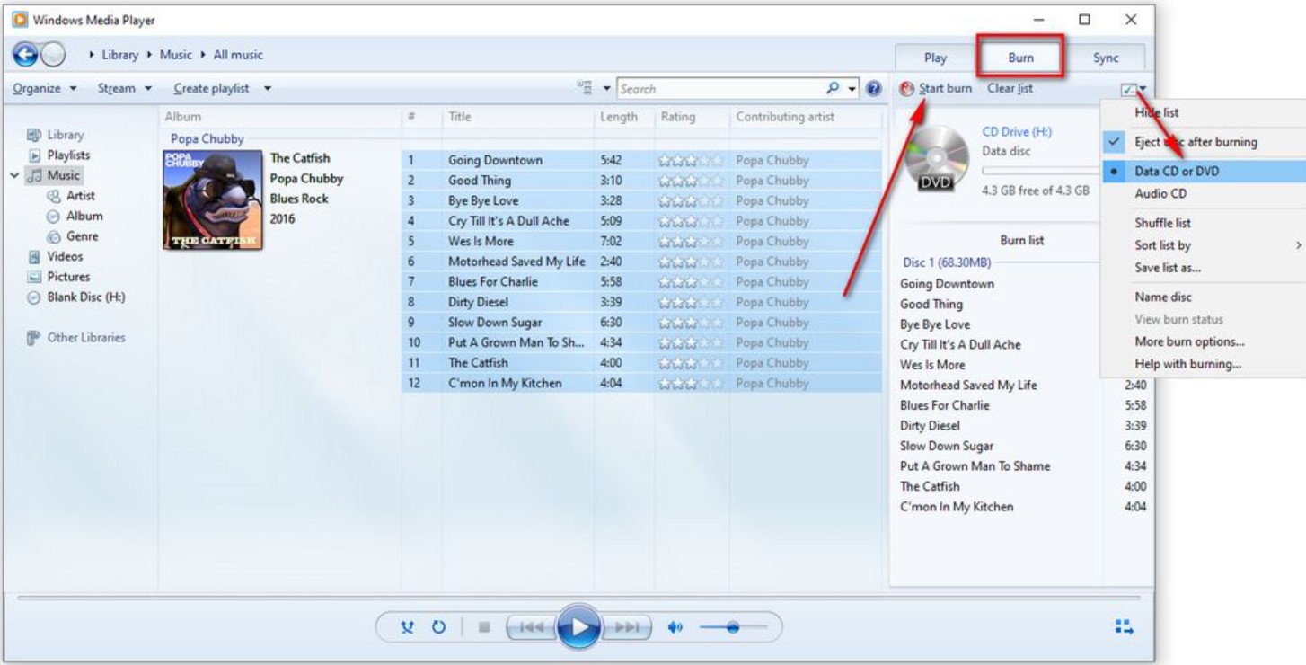 audio DVD creator: Windows Media Player Mp3 to DVD Converter