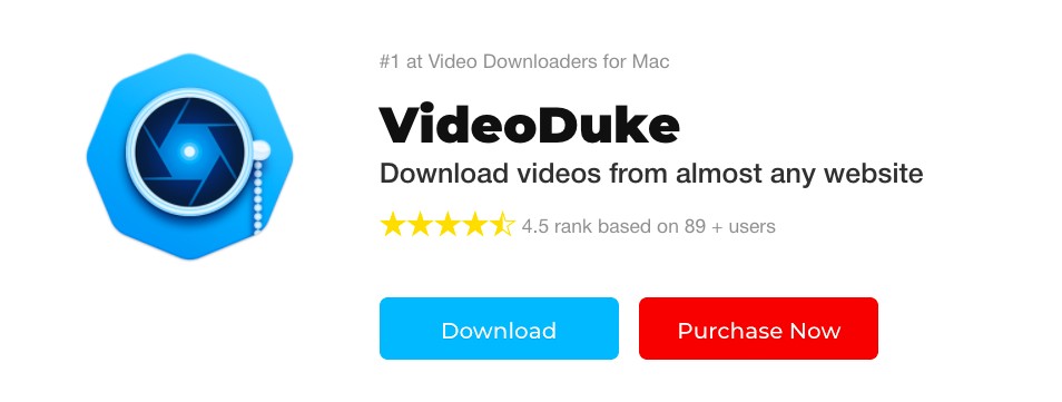 dailymotion video downloader:3. VideoDuke