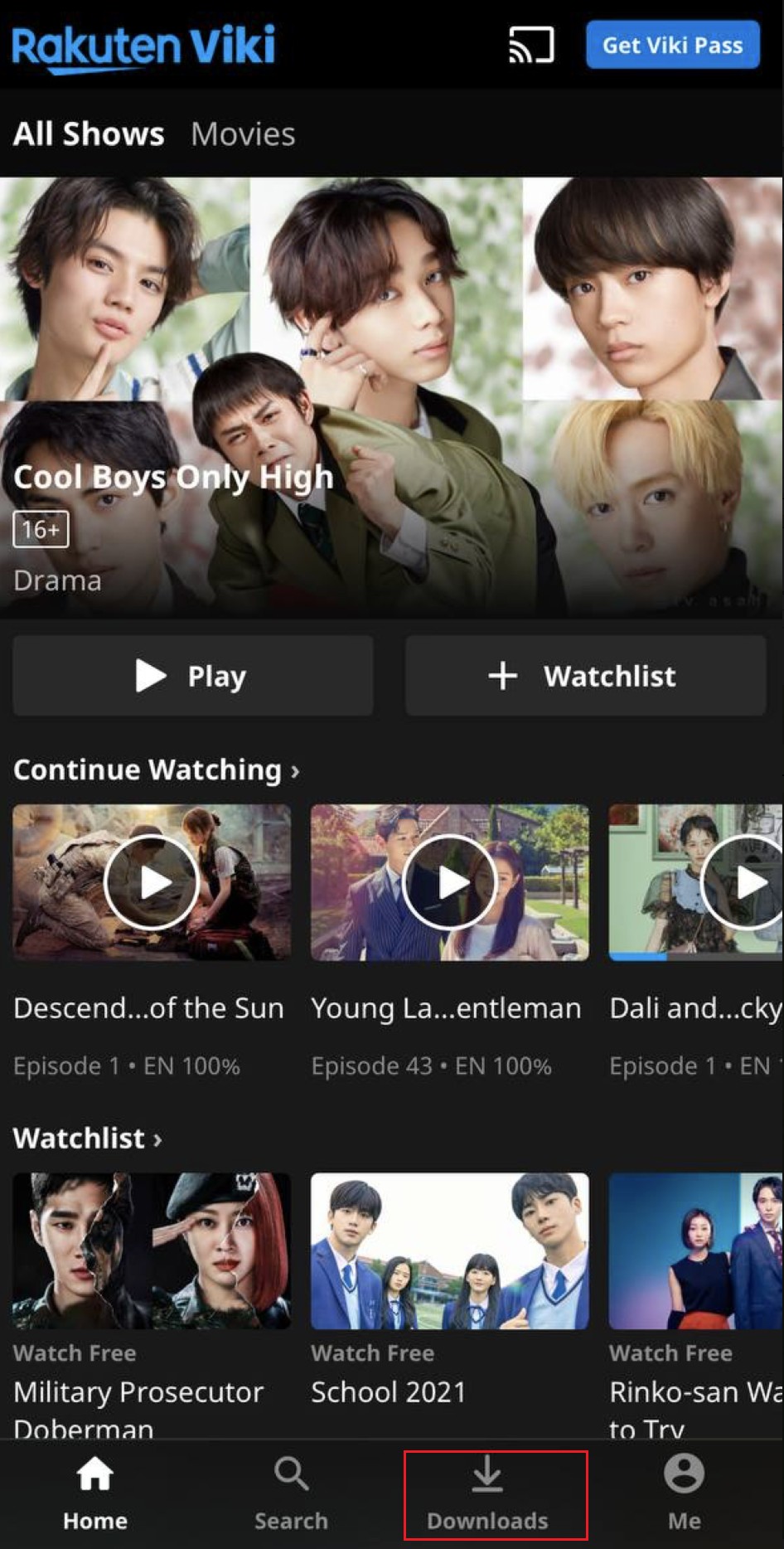 download from viki