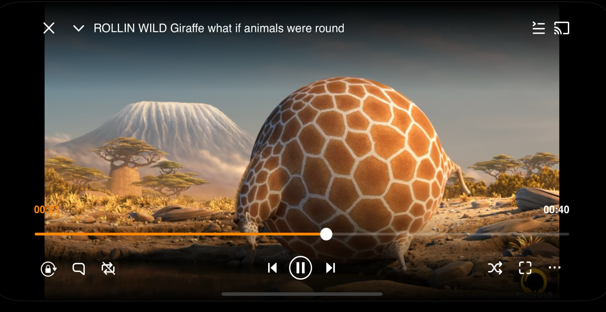 DVD Player for iPad: VLC