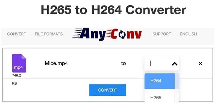 Convertisseur H265 vers H264