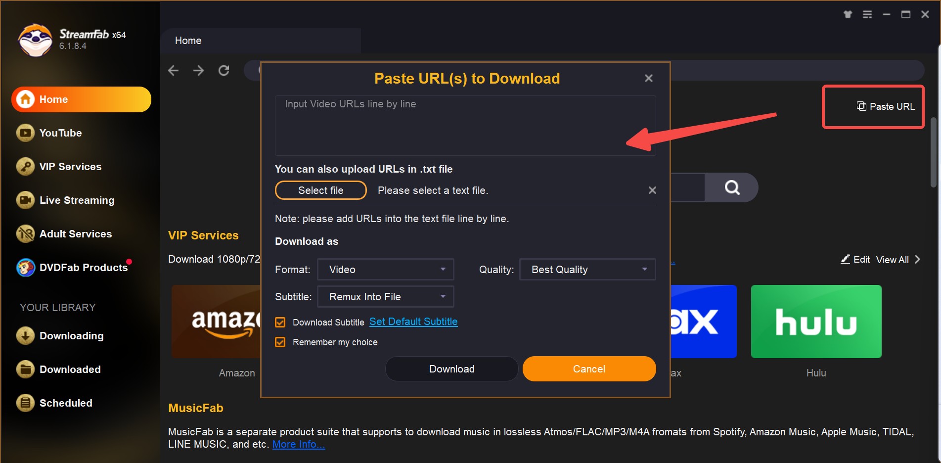 URL video downloader