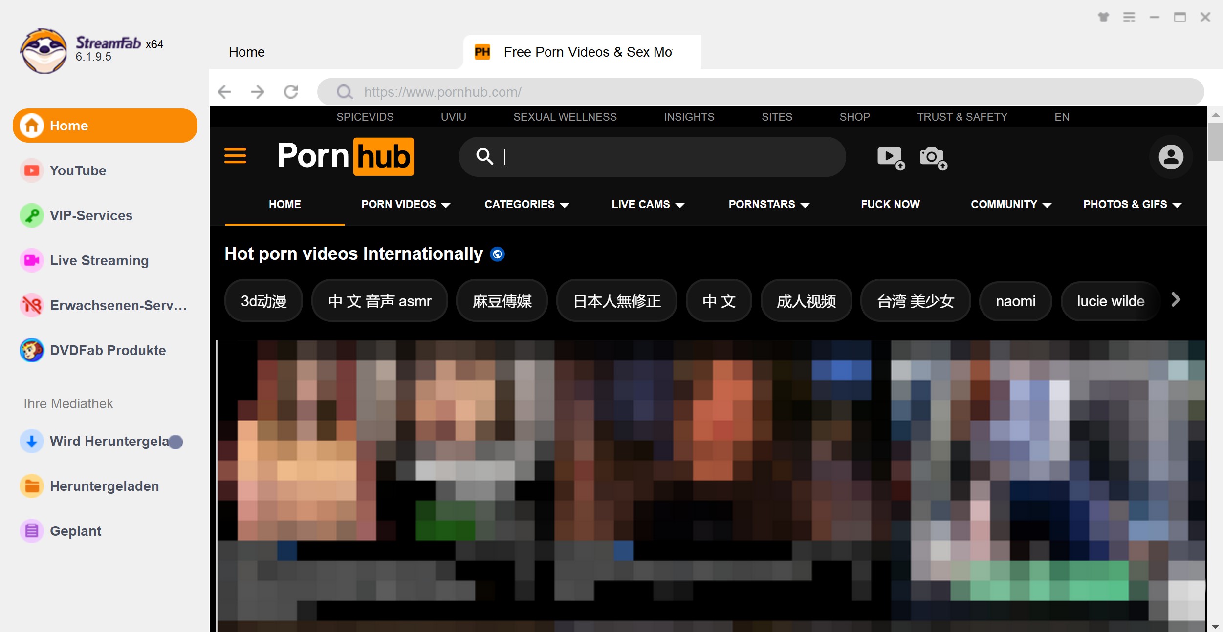 Erforderliche PC-Software zum Herunterladen von Pornhub VR Videos