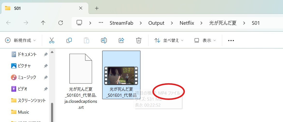 Streamfab Netflix ダウンローダーのについての評判